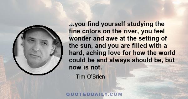 ...you find yourself studying the fine colors on the river, you feel wonder and awe at the setting of the sun, and you are filled with a hard, aching love for how the world could be and always should be, but now is not.