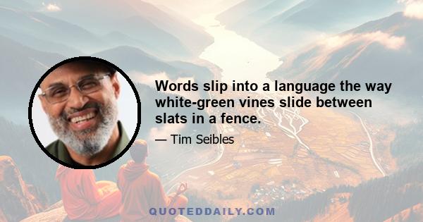 Words slip into a language the way white-green vines slide between slats in a fence.