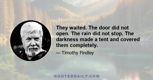 They waited. The door did not open. The rain did not stop. The darkness made a tent and covered them completely.