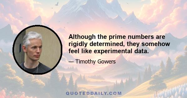 Although the prime numbers are rigidly determined, they somehow feel like experimental data.