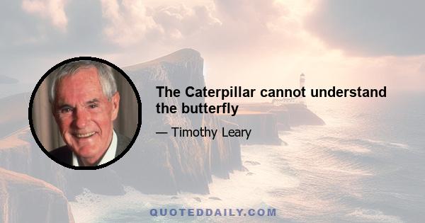 The Caterpillar cannot understand the butterfly