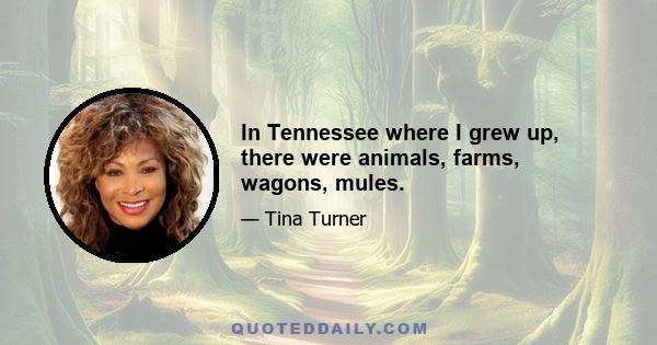 In Tennessee where I grew up, there were animals, farms, wagons, mules.