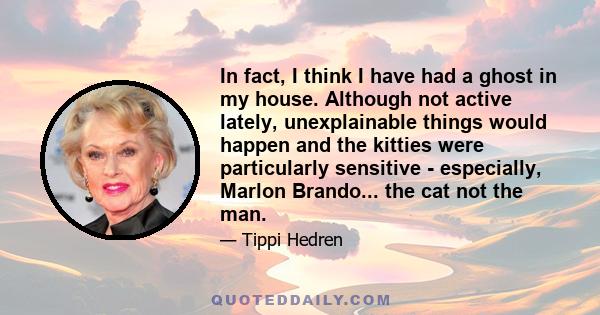 In fact, I think I have had a ghost in my house. Although not active lately, unexplainable things would happen and the kitties were particularly sensitive - especially, Marlon Brando... the cat not the man.