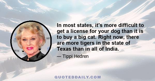 In most states, it's more difficult to get a license for your dog than it is to buy a big cat. Right now, there are more tigers in the state of Texas than in all of India.