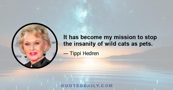 It has become my mission to stop the insanity of wild cats as pets.