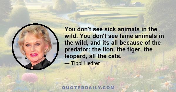 You don't see sick animals in the wild. You don't see lame animals in the wild, and its all because of the predator: the lion, the tiger, the leopard, all the cats.