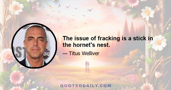 The issue of fracking is a stick in the hornet's nest.