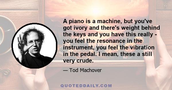 A piano is a machine, but you've got ivory and there's weight behind the keys and you have this really - you feel the resonance in the instrument, you feel the vibration in the pedal. I mean, these a still very crude.