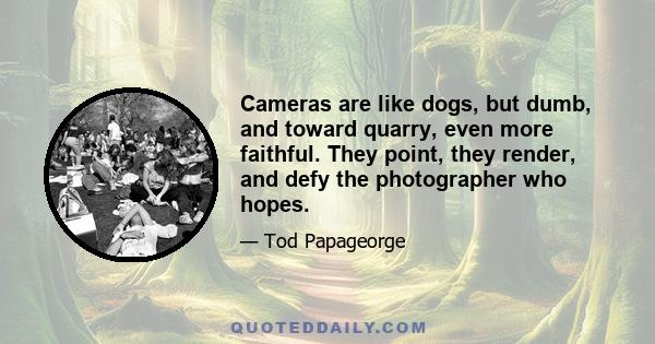 Cameras are like dogs, but dumb, and toward quarry, even more faithful. They point, they render, and defy the photographer who hopes.