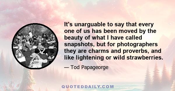 It's unarguable to say that every one of us has been moved by the beauty of what I have called snapshots, but for photographers they are charms and proverbs, and like lightening or wild strawberries.