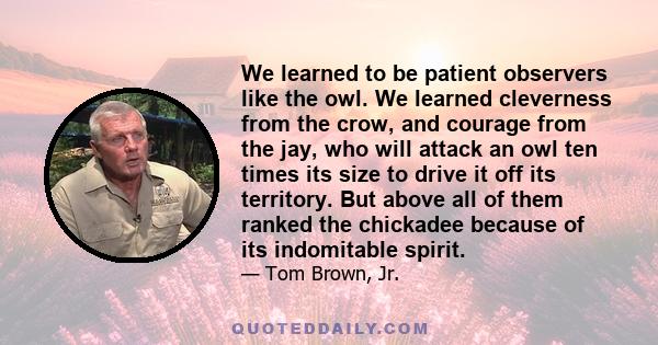 We learned to be patient observers like the owl. We learned cleverness from the crow, and courage from the jay, who will attack an owl ten times its size to drive it off its territory. But above all of them ranked the