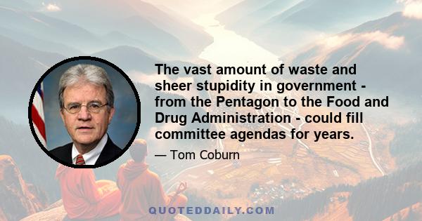 The vast amount of waste and sheer stupidity in government - from the Pentagon to the Food and Drug Administration - could fill committee agendas for years.