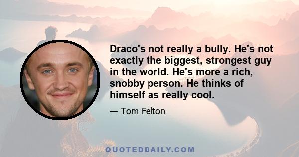 Draco's not really a bully. He's not exactly the biggest, strongest guy in the world. He's more a rich, snobby person. He thinks of himself as really cool.