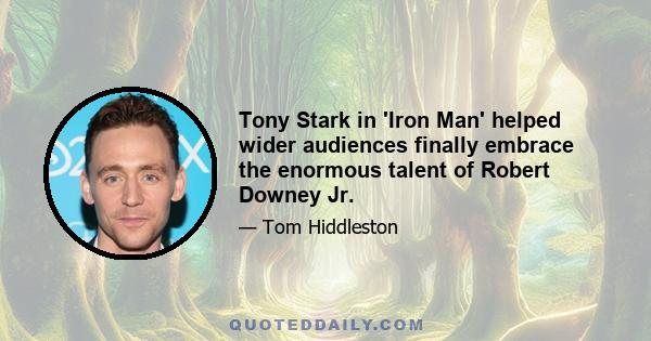 Tony Stark in 'Iron Man' helped wider audiences finally embrace the enormous talent of Robert Downey Jr.