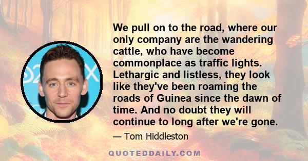 We pull on to the road, where our only company are the wandering cattle, who have become commonplace as traffic lights. Lethargic and listless, they look like they've been roaming the roads of Guinea since the dawn of