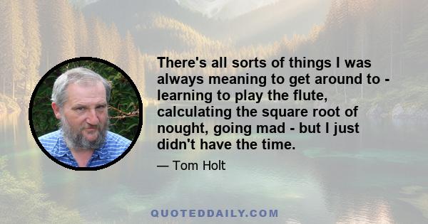 There's all sorts of things I was always meaning to get around to - learning to play the flute, calculating the square root of nought, going mad - but I just didn't have the time.