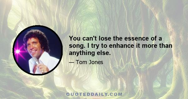 You can't lose the essence of a song. I try to enhance it more than anything else.