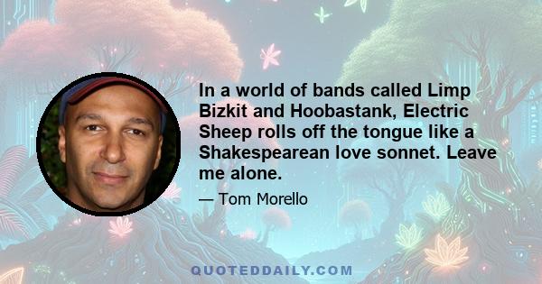 In a world of bands called Limp Bizkit and Hoobastank, Electric Sheep rolls off the tongue like a Shakespearean love sonnet. Leave me alone.