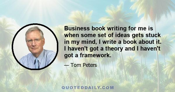 Business book writing for me is when some set of ideas gets stuck in my mind, I write a book about it. I haven't got a theory and I haven't got a framework.