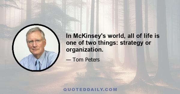 In McKinsey's world, all of life is one of two things: strategy or organization.