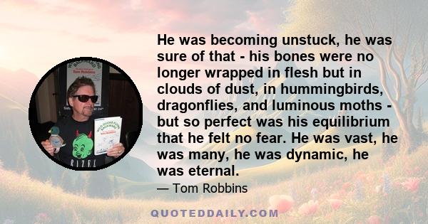 He was becoming unstuck, he was sure of that - his bones were no longer wrapped in flesh but in clouds of dust, in hummingbirds, dragonflies, and luminous moths - but so perfect was his equilibrium that he felt no fear. 