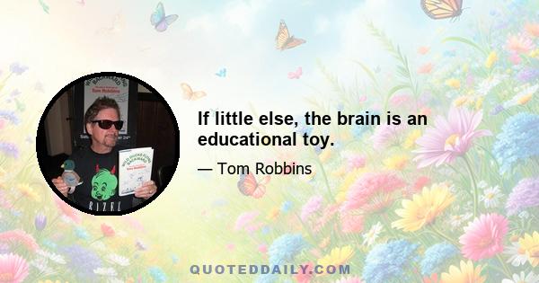 If little else, the brain is an educational toy.