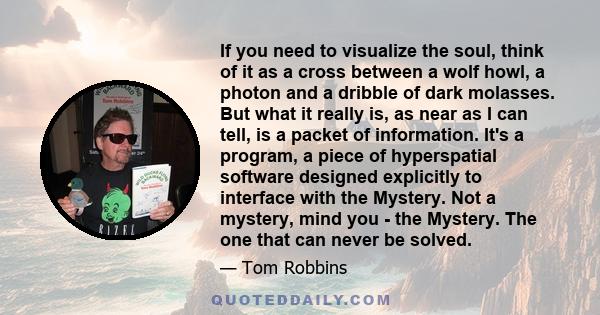 If you need to visualize the soul, think of it as a cross between a wolf howl, a photon and a dribble of dark molasses. But what it really is, as near as I can tell, is a packet of information. It's a program, a piece