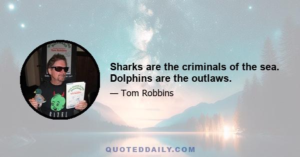 Sharks are the criminals of the sea. Dolphins are the outlaws.