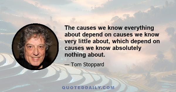 The causes we know everything about depend on causes we know very little about, which depend on causes we know absolutely nothing about.