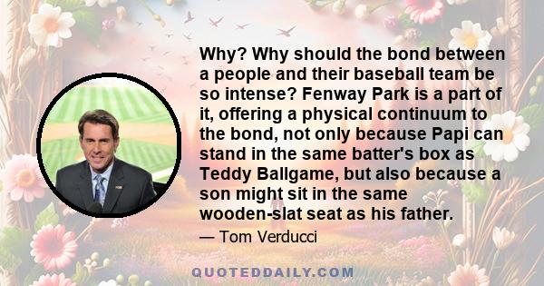 Why? Why should the bond between a people and their baseball team be so intense? Fenway Park is a part of it, offering a physical continuum to the bond, not only because Papi can stand in the same batter's box as Teddy