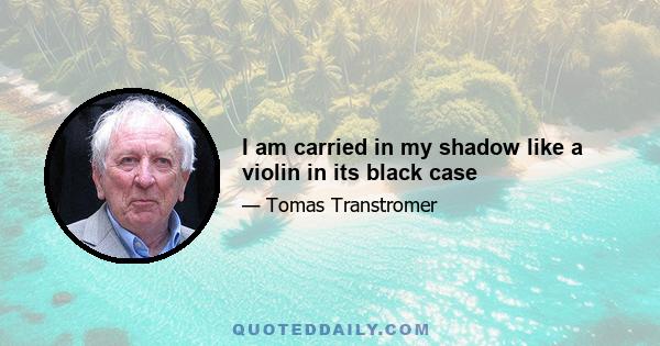 I am carried in my shadow like a violin in its black case