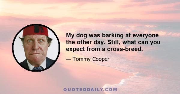 My dog was barking at everyone the other day. Still, what can you expect from a cross-breed.