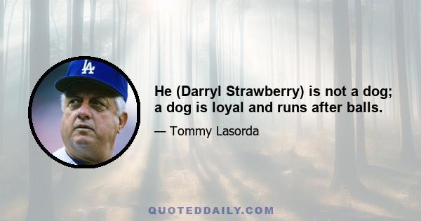 He (Darryl Strawberry) is not a dog; a dog is loyal and runs after balls.