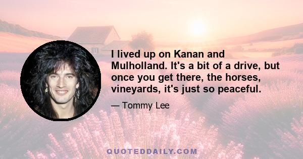 I lived up on Kanan and Mulholland. It's a bit of a drive, but once you get there, the horses, vineyards, it's just so peaceful.