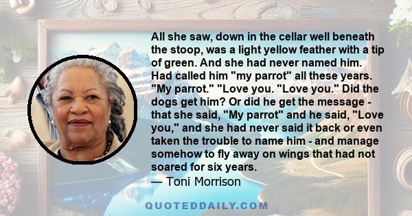 All she saw, down in the cellar well beneath the stoop, was a light yellow feather with a tip of green. And she had never named him. Had called him my parrot all these years. My parrot. Love you. Love you. Did the dogs