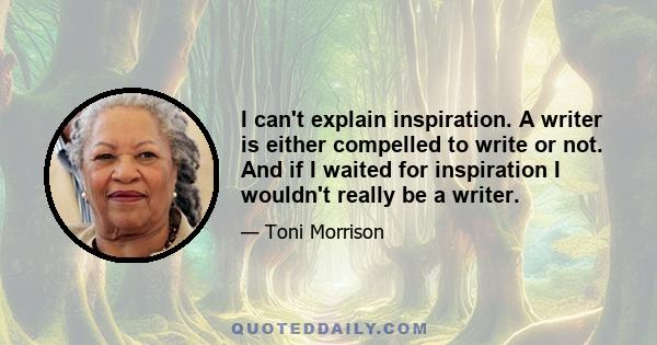 I can't explain inspiration. A writer is either compelled to write or not. And if I waited for inspiration I wouldn't really be a writer.