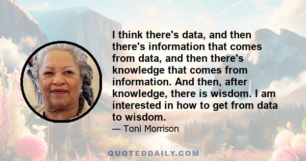 I think there's data, and then there's information that comes from data, and then there's knowledge that comes from information. And then, after knowledge, there is wisdom. I am interested in how to get from data to