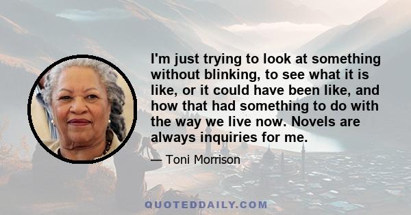 I'm just trying to look at something without blinking, to see what it is like, or it could have been like, and how that had something to do with the way we live now. Novels are always inquiries for me.