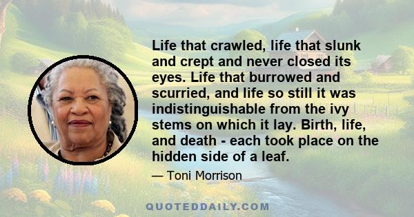 Life that crawled, life that slunk and crept and never closed its eyes. Life that burrowed and scurried, and life so still it was indistinguishable from the ivy stems on which it lay. Birth, life, and death - each took