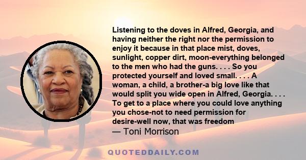 Listening to the doves in Alfred, Georgia, and having neither the right nor the permission to enjoy it because in that place mist, doves, sunlight, copper dirt, moon-everything belonged to the men who had the guns. . .