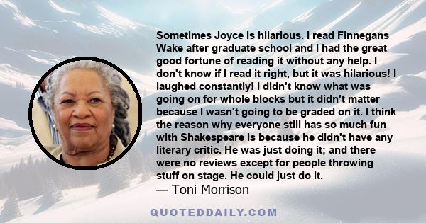 Sometimes Joyce is hilarious. I read Finnegans Wake after graduate school and I had the great good fortune of reading it without any help. I don't know if I read it right, but it was hilarious! I laughed constantly! I