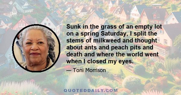 Sunk in the grass of an empty lot on a spring Saturday, I split the stems of milkweed and thought about ants and peach pits and death and where the world went when I closed my eyes.