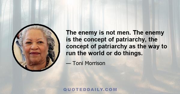 The enemy is not men. The enemy is the concept of patriarchy, the concept of patriarchy as the way to run the world or do things.