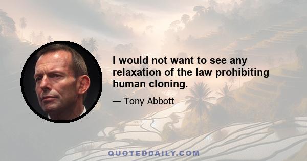 I would not want to see any relaxation of the law prohibiting human cloning.