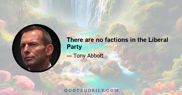 There are no factions in the Liberal Party