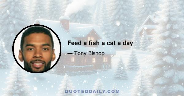 Feed a fish a cat a day