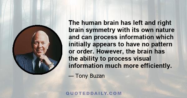 The human brain has left and right brain symmetry with its own nature and can process information which initially appears to have no pattern or order. However, the brain has the ability to process visual information