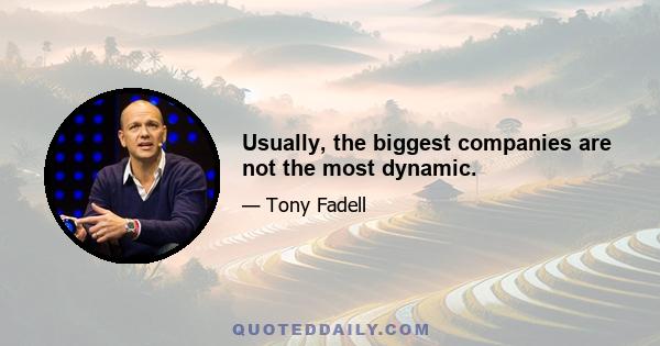 Usually, the biggest companies are not the most dynamic.