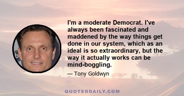 I'm a moderate Democrat. I've always been fascinated and maddened by the way things get done in our system, which as an ideal is so extraordinary, but the way it actually works can be mind-boggling.