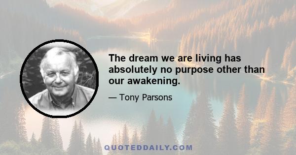 The dream we are living has absolutely no purpose other than our awakening.